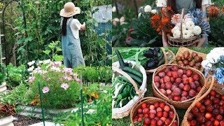 Another Bountiful Harvest Day: Fresh Plums, Veggies \u0026 Blooms from My New Zealand Garden