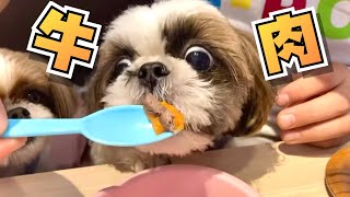 【犬連れごはん】犬連れだらけの焼肉屋