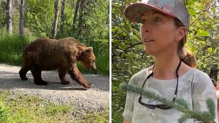 Insanely close call with massive Alaskan brown bear