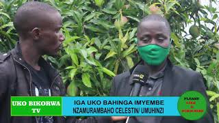 IGA UKO BAHINGA IMYEMBE MU KIGANIRO KIGUFI  BY NOEL MANISHIMWE            #RwandaAgri  #Kayonza