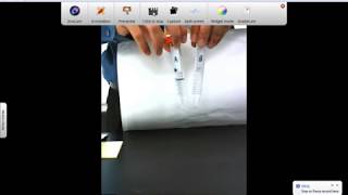 Scientific Method Lab