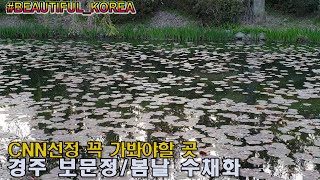 경주 보문정 벚꽃엔딩 CNN선정 경주여행 BomunPavillion 한국가볼만한곳 Spring Watercolor Beautiful_Korea 여행나그네 TravelGilson