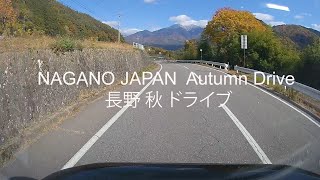 Autumn Road Drive Nagano Japan 長野 紅葉ドライブ カーナビ H264