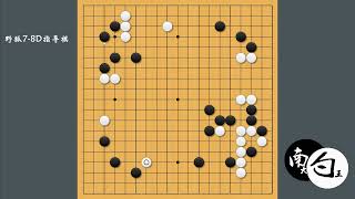 【野狐7段以上强化班】指导棋简要复盘3