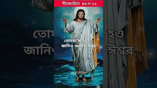 বাংলা বাইবেল | গীতসংহিতা ৪৬:৭-১১#banglabible #bible #biblestudy #jesuslove #god #bibleteaching #amen