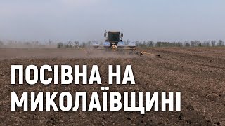 Посівна кампанія на Миколаївщині: зернові посіяли, на черзі соняшник та кукурудза