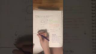 Module 4 Honors Assignment