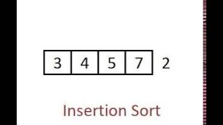 Insertion Sort - Animation Video
