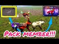 Benefits of Pack Members Of VIP | WOLF TALES || 4017