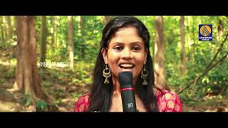 താരകപെണ്ണാളെ കതിരാടുംമിഴിയാളെ | Malayalam Musical Video Song | Nadan Pattu