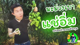 มะม่วงเบาแช่อิ่ม การถนอมอาหาร พร้อมคำนวณต้นทุน | เชฟขวัญ