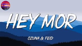 Ozuna Ft. Feid - Hey Mor | Bad Bunny, Myke Towers, Wisin (Letra)