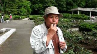 The Leaf Whistle Blower （草笛）