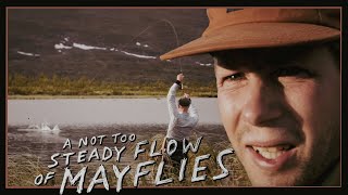 A Not Too Steady Flow Of Mayflies |  Fly Fishing Film 2024