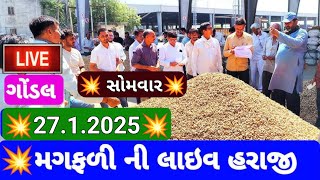 મગફળી ના બજાર ભાવ / મગફળી ના ભાવ આજના /ગોંડલ મગફળી ના બજાર ભાવ / 27.1.2025