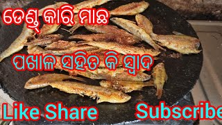 ଡେଣ୍ଡ୍ କାରି ମାଛ ଭଜା/ଆଉ ପିତା ମାଛ ଭଜା/ପଖାଳ ସହିତ ଭାରି ସ୍ୱାଦିଆ /Like Share And Subscribe Comment Kara 👍👍