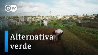 Brasil: huertos comunitarios en tiempos de pandemia