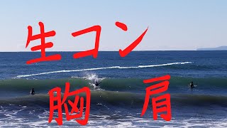 2022年1月12日　平塚生コン　胸肩　パワー　ウェーブ