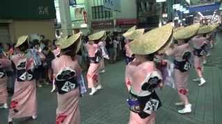 俵屋グループ 前夜祭 帯屋町 本家高知よさこい2013 mususukunjp