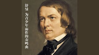 为青少年而作的奏鸣曲, 快板 in D Major, Op. 118b, No. 1