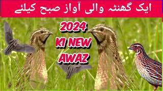 ایک گھنٹے والی اواز صبح کے لیے Batair ki awaz subha k liye best awaz 2024