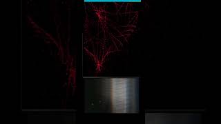 How developer Heart beat looks 👨🏻💻 | JavaScript Canvas |JavaScript Tutorials | HTML5 Canvas #shorts