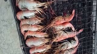 กุ้งเผาจร้า ร้านเวลาดีดีหมูกะทะ อร่อยจัง