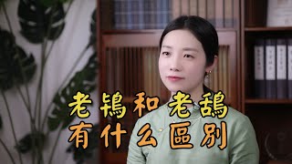 古代的「老鴇」和「老鴰」是什麽？怎麽讀？看字形就知道了