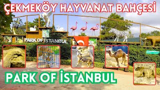 ÇEKMEKÖY HAYVANAT BAHÇESİ - Park Of İstanbul (POİ) - İstanbul'da Gezilecek Yerler