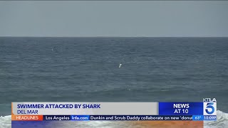 Shark attack rescuers speak out after saving SoCal victim