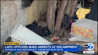 Rat infestation discovered at DTLA homeless encampment
