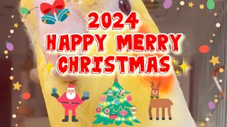 Merry Christmas 2024🎄🎅🏻🦌✨【オカメインコが歌うジングルベル】