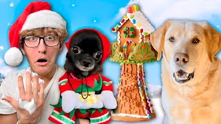 PUDDIN MADE ME BUILD A GINGERBREAD HOUSE!! *Frosting Went Everywhere*