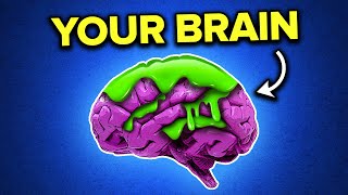 Brain Rot Is Holding You Back