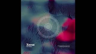 Radu Mirica - Xerox