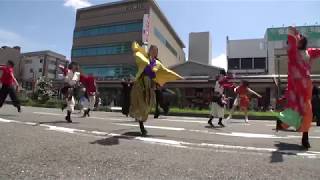 元気ハツラツ市２０１９　７月　【祭拍子】①　チャグチャグ