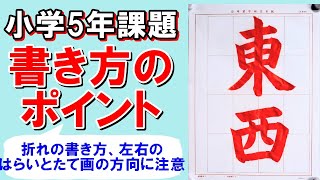 日本習字令和6年5月号小学5年「東西」