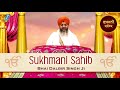 sukhmani sahib path bhai dalbir singh ji gurbani shabad kirtan full audio