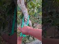 incredible slip knot camping survival bushcraft outdoors