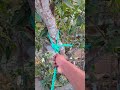 incredible slip knot camping survival bushcraft outdoors