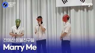 복면을 뚫고 나오는 반전 음색 Marry me (잔메산 동물친구들) cover