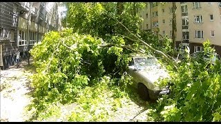 Heavy Thunderstorm Pfingstmontag 09.06.2014 Unwetter in Düsseldorf Sturmschäden am Tag danach