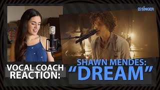 Vocal Coach REACTION | Shawn Mendes | Dream | 30 Day Singer