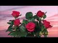 happy birthday video card with beautiful dancing flowers