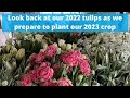 A look at some of the tulips we grew earlier in 2022