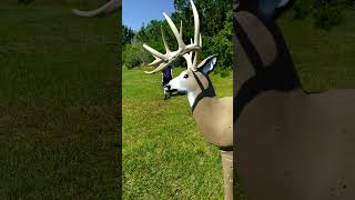 Barnett Youth Compound Bow,.3D Shooter Buck