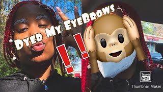 BLEACHED MY EYEBROWS | Gone Wrong ‼️