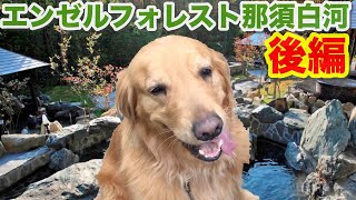 愛犬たちとエンゼルフォレスト那須白河を満喫してきました♪【後編】