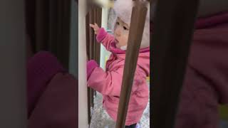 【1歳2ヶ月】階段を降りる時に使える言葉を覚えた女の子 / She learned the words to use when going down the stairs #shorts #クォーター