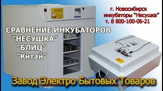 Какой купить инкубатор для яиц? Обзор автоматических инкубаторов Несушка, Блиц, китайского.